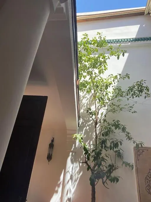 Villa Riad Alghani Marrakesh